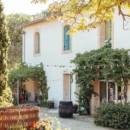 Eco-friendly In A Wine Estate In Frontignan