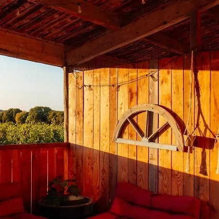 Apartment Eco-friendly In A Wine Estate In Frontignan