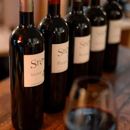 Eco-friendly In A Wine Estate In Apartment *