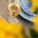 Eco-friendly In A Wine Estate In *